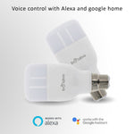 Boldivo Dan1 Wifi Smart Led Bulb