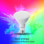 Boldivo BR30 Wifi Smart Led Bulb