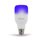 Boldivo Dan1 Wifi Smart Led Bulb